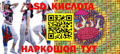 стаф Кинель