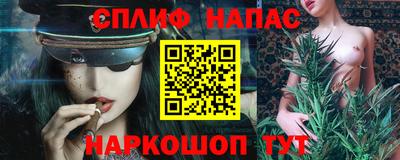 стаф Кинель