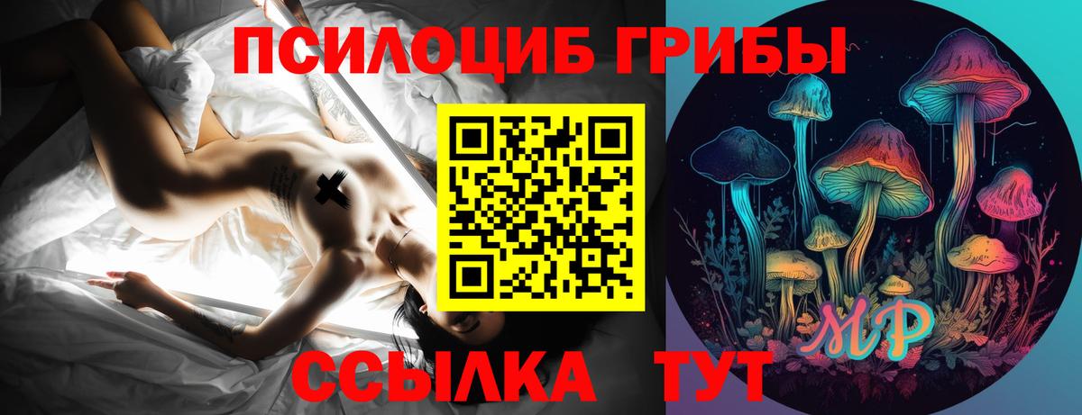 ГАШ Сунжа