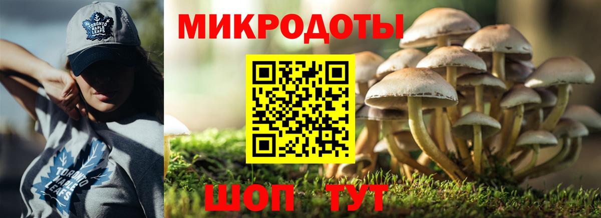 Галлюциногенные грибы мухоморы Сунжа
