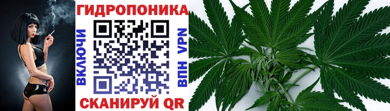 Каннабис Bruce Banner  Сунжа 